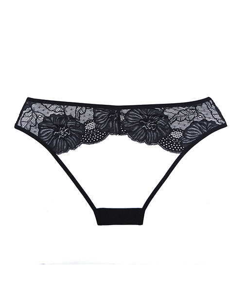 Adore Kiss Mesh & Lace Open Panty Black