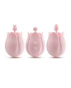 Blush Play With Me Romantic Rose - Pink