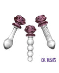 Dr. Tush' Sacred Glass Rose Collection Anal Plug Set - Glass