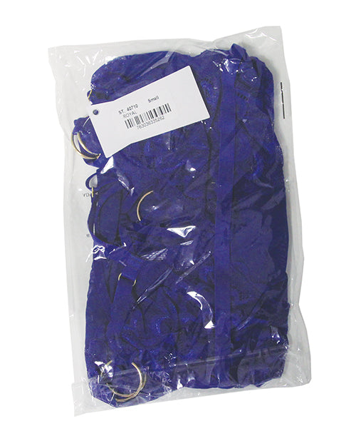 Sapphire Dreams Feather Lace and Mesh Bustier w/Thong 2 pc Set - Royal