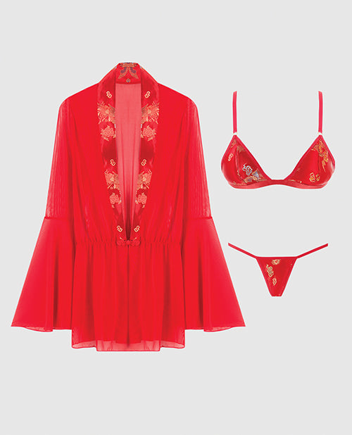 Dragon Sheer Mesh Robe w/Satin Triangle Top & G - String 3 pc Set - Red