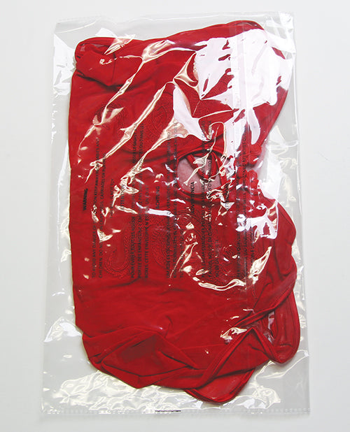 Dragon Mesh & Applique Chemise w/G - String 2 pc Set - Red