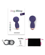 Love to Love Itsy Bitsy Mini Wand - Midnight Indigo
