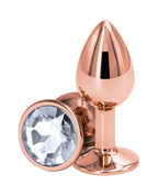 Rear Assets Rose Gold - Clear