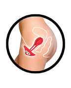 The Beat Intimate Ero - Vibe - Red