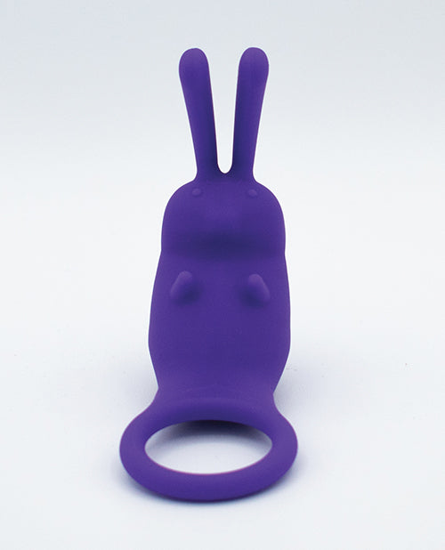 Natalie' Toy Box The Cock Hopper Cock Ring & Bullet Vibrator - Purple
