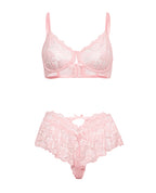 Leyla Lace and Mesh Underwire 2 pc Set - Pink