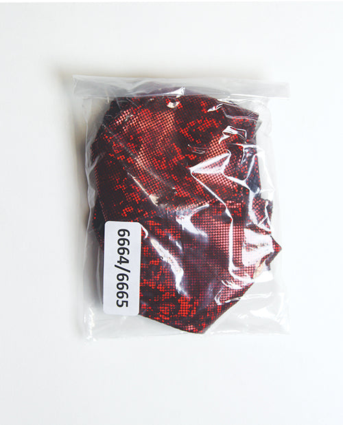 Shimmer Tie Back Tube Top w/Cheeky Panty 2 pc Set - Red