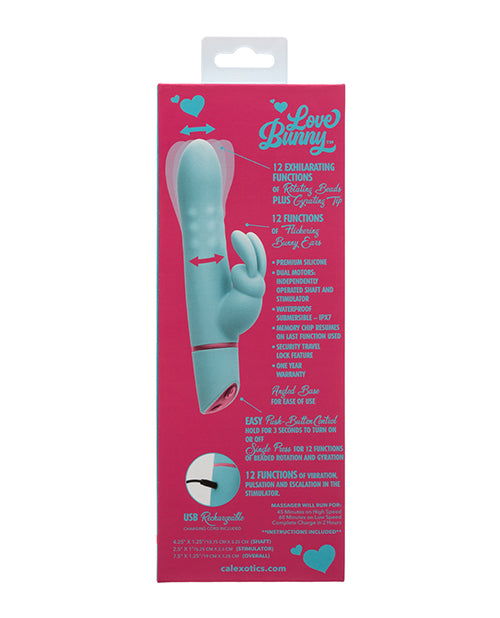 Love Bunny Rotating Bunny - Blue